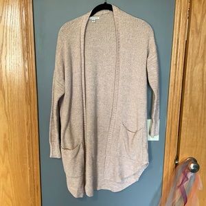 American Eagle Cardigan